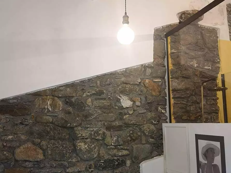 Immagine 26 di Casa colonica in vendita  a Castelnuovo Magra