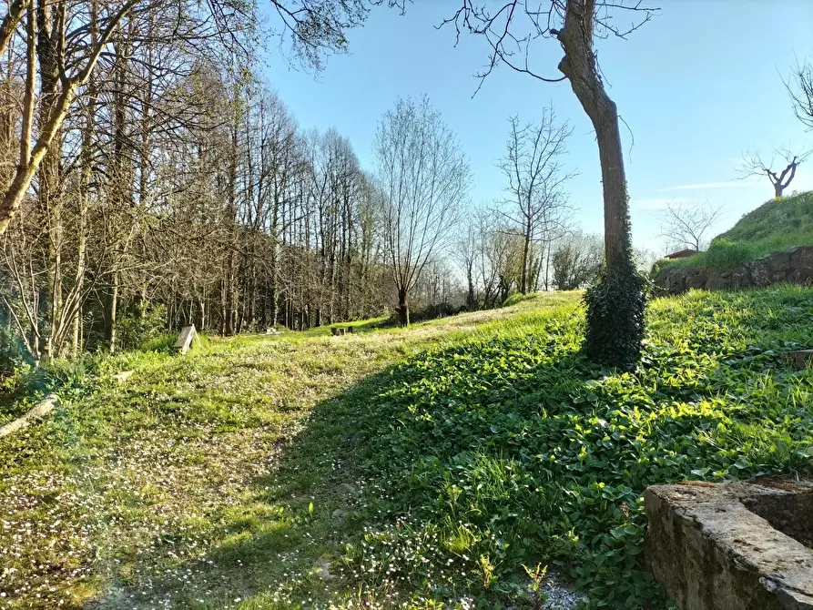 Immagine 55 di Casa colonica in vendita  a Castelnuovo Magra