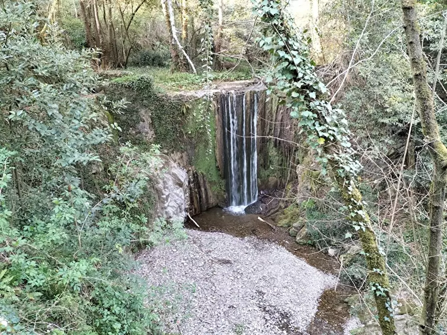 Immagine 47 di Casa colonica in vendita  a Castelnuovo Magra