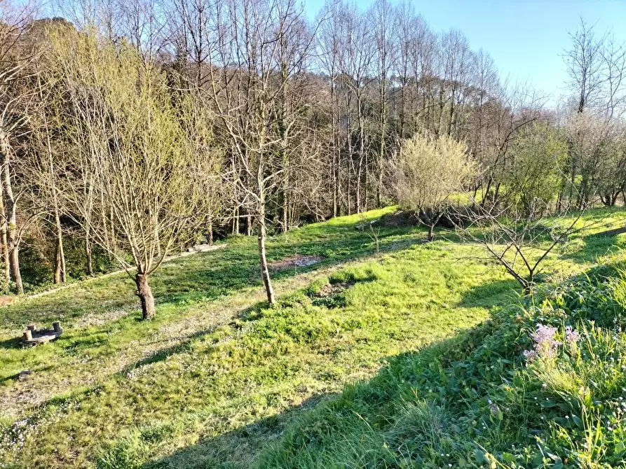 Immagine 63 di Casa colonica in vendita  a Castelnuovo Magra