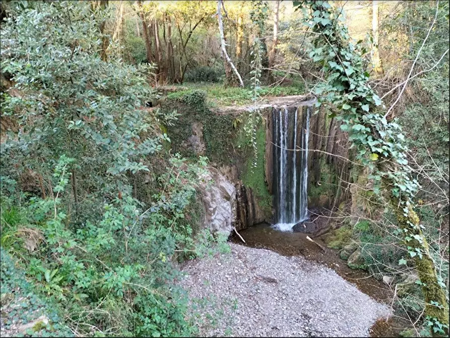 Immagine 39 di Casa colonica in vendita  a Castelnuovo Magra