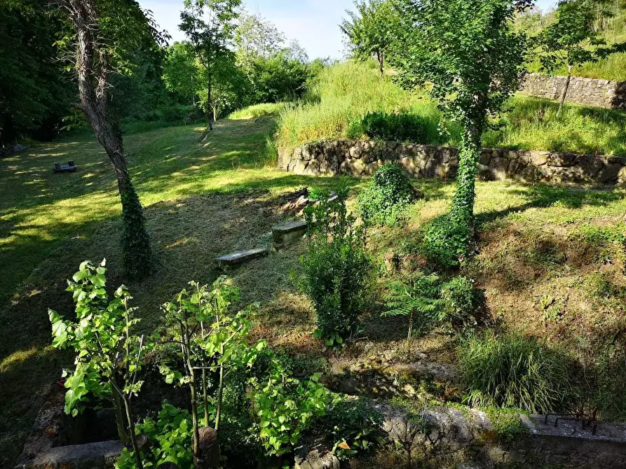 Immagine 28 di Casa colonica in vendita  a Castelnuovo Magra