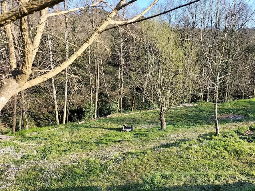 Immagine 61 di Casa colonica in vendita  a Castelnuovo Magra