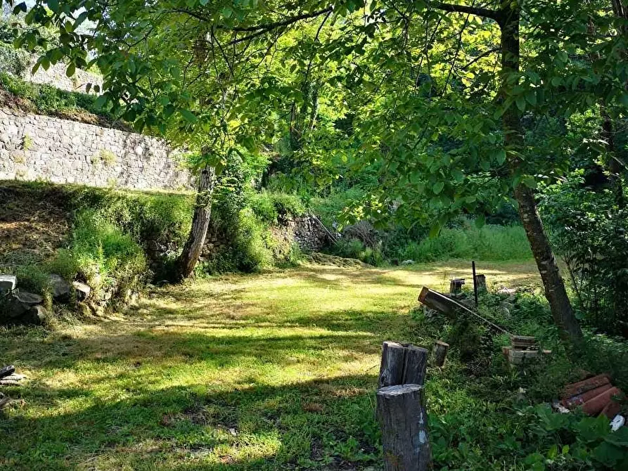 Immagine 22 di Casa colonica in vendita  a Castelnuovo Magra