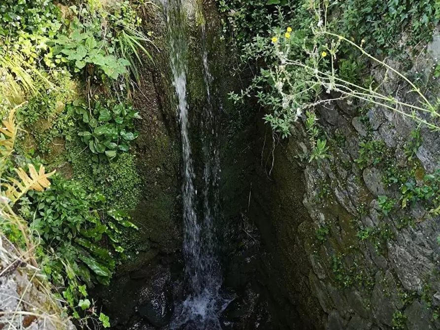 Immagine 24 di Casa colonica in vendita  a Castelnuovo Magra