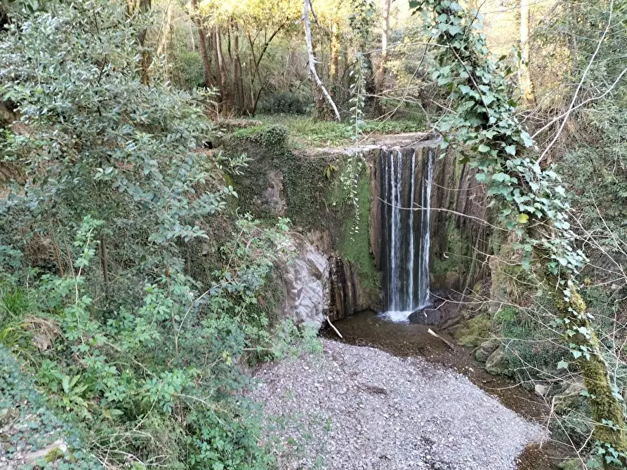 Immagine 48 di Casa colonica in vendita  a Castelnuovo Magra