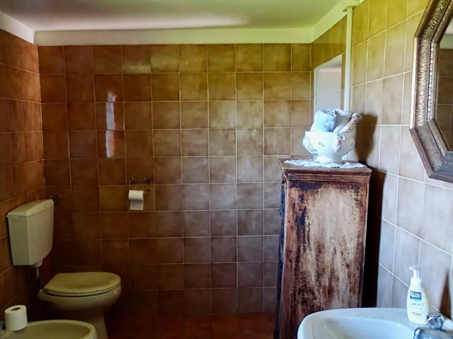 Immagine 27 di Porzione di casa in vendita  a Palaia