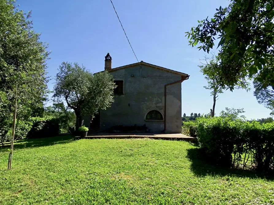 Immagine 3 di Porzione di casa in vendita  a Palaia