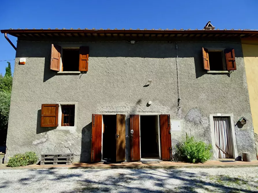 Immagine 6 di Porzione di casa in vendita  a Palaia