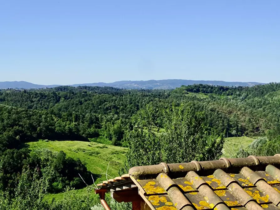Immagine 12 di Porzione di casa in vendita  a Palaia