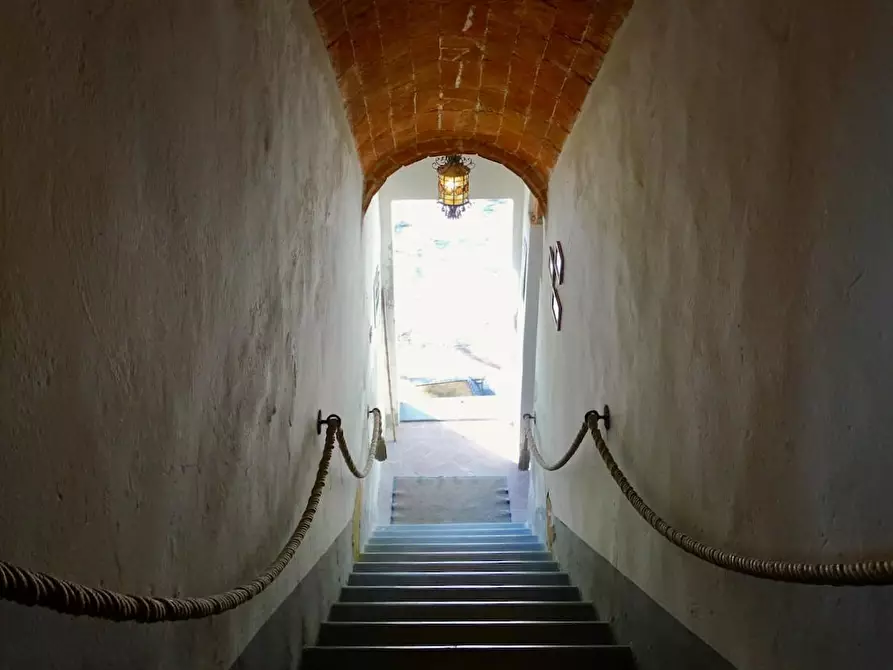 Immagine 29 di Porzione di casa in vendita  a Palaia