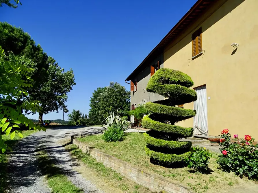 Immagine 7 di Porzione di casa in vendita  a Palaia