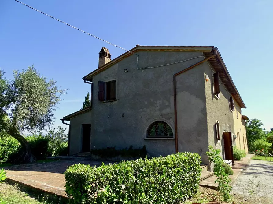 Immagine 4 di Porzione di casa in vendita  a Palaia