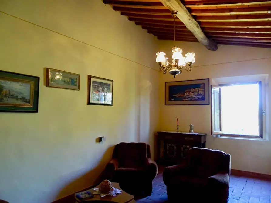 Immagine 21 di Porzione di casa in vendita  a Palaia