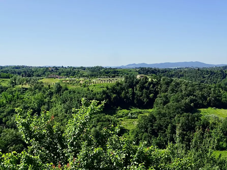 Immagine 13 di Porzione di casa in vendita  a Palaia