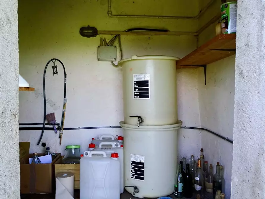 Immagine 31 di Porzione di casa in vendita  a Palaia