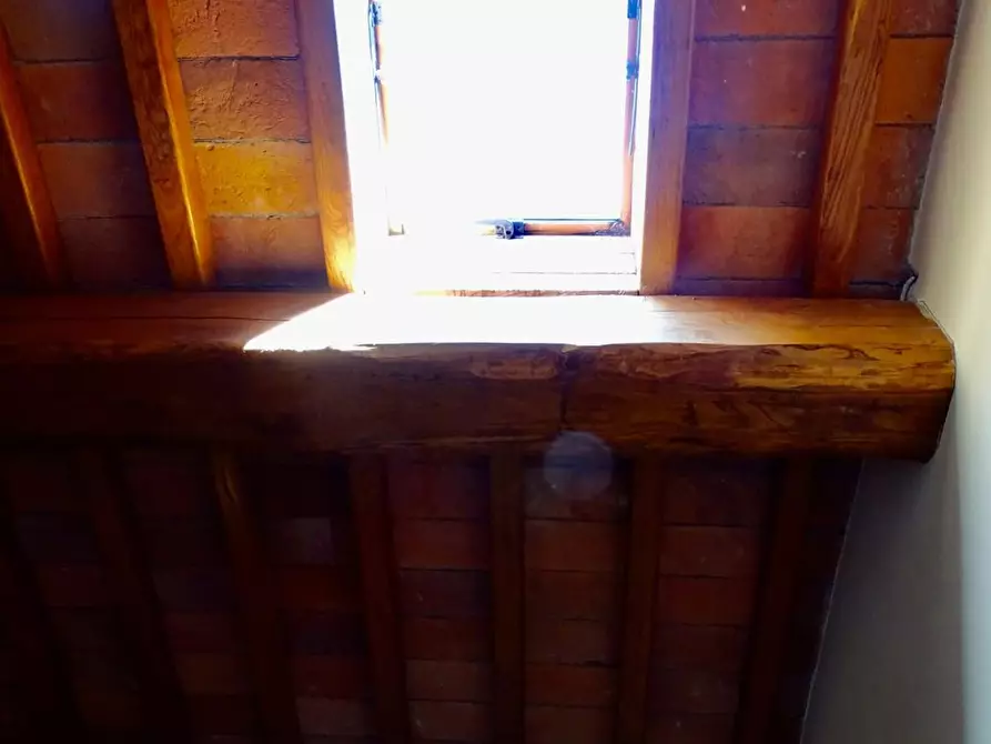 Immagine 27 di Casa colonica in vendita  a Palaia