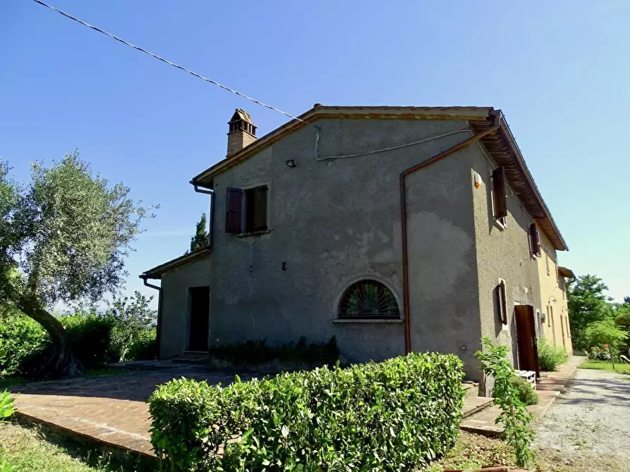 Immagine 42 di Casa colonica in vendita  a Palaia