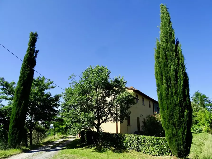 Immagine 1 di Casa colonica in vendita  a Palaia