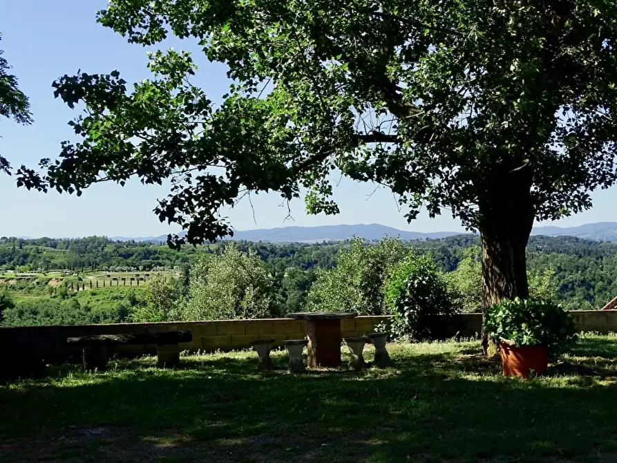 Immagine 55 di Casa colonica in vendita  a Palaia