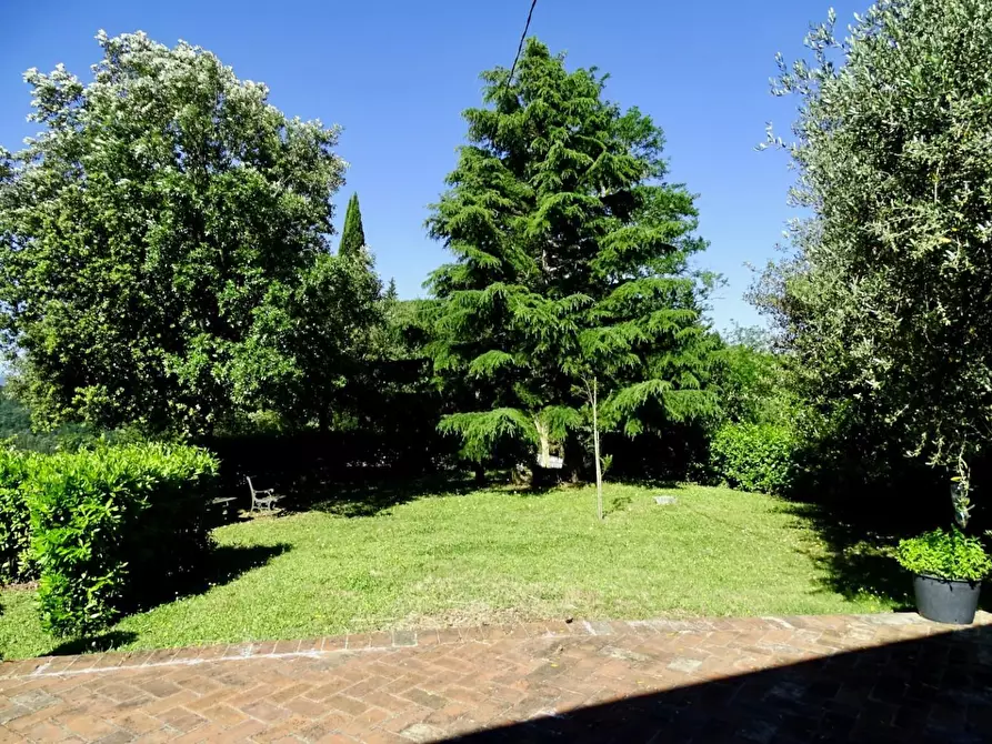 Immagine 44 di Casa colonica in vendita  a Palaia