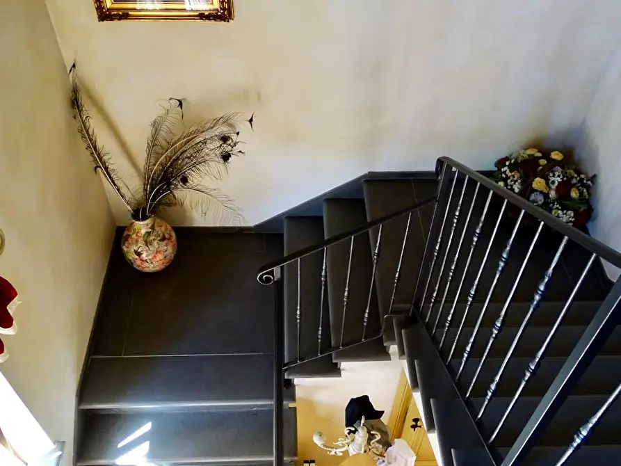 Immagine 24 di Casa colonica in vendita  a Palaia