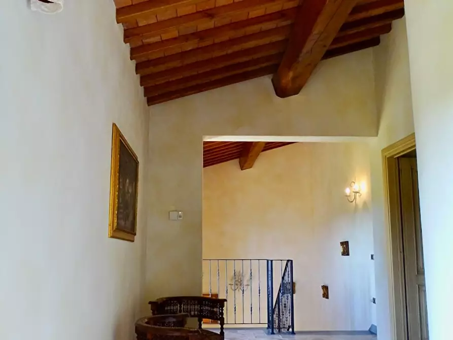 Immagine 40 di Casa colonica in vendita  a Palaia