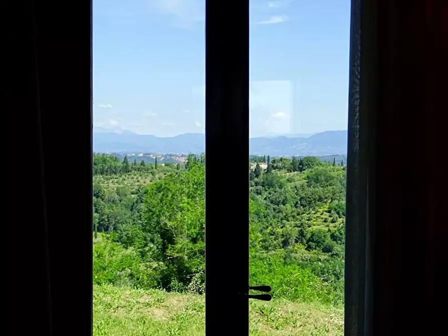 Immagine 22 di Casa colonica in vendita  a Palaia