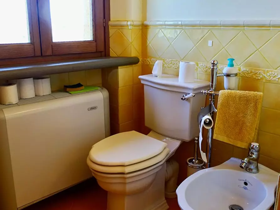 Immagine 30 di Casa colonica in vendita  a Palaia