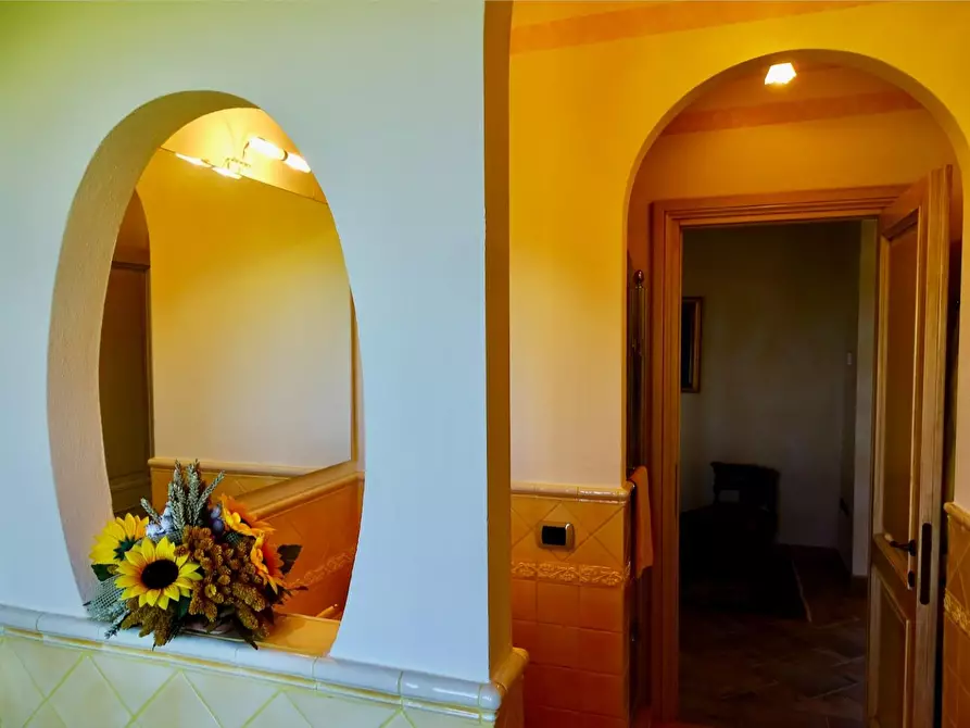 Immagine 29 di Casa colonica in vendita  a Palaia