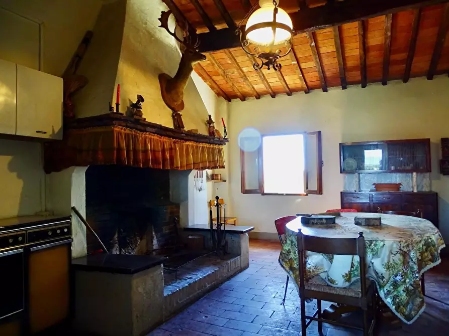 Immagine 51 di Casa colonica in vendita  a Palaia