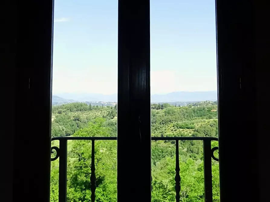 Immagine 38 di Casa colonica in vendita  a Palaia