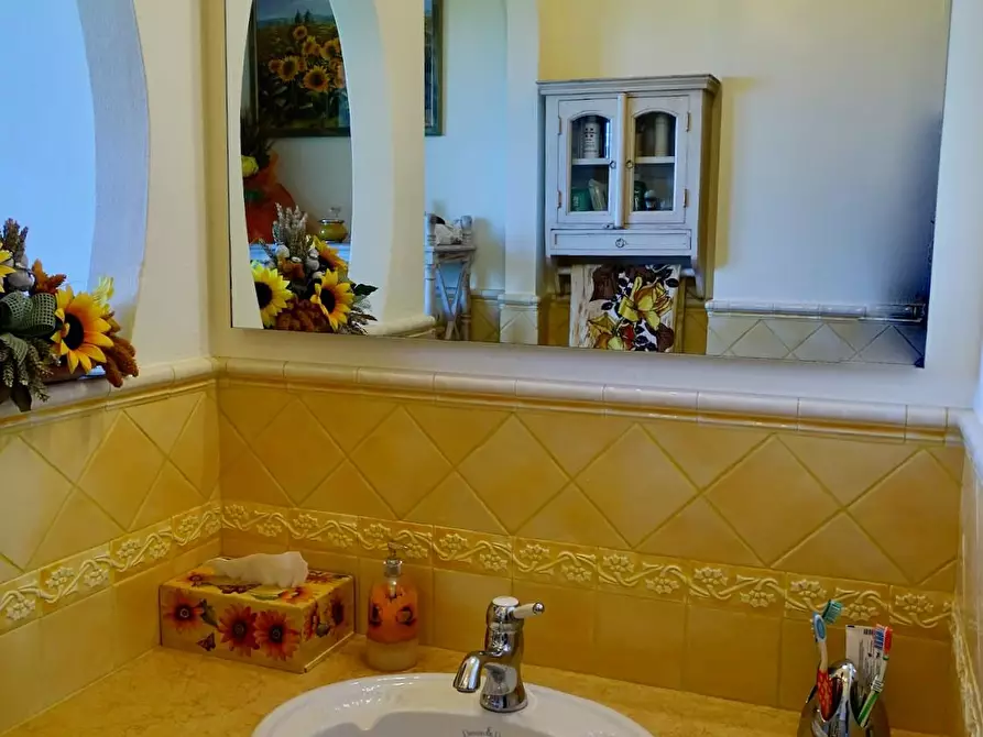 Immagine 31 di Casa colonica in vendita  a Palaia