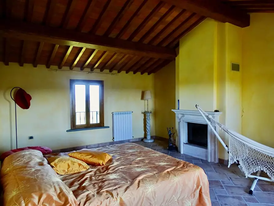 Immagine 35 di Casa colonica in vendita  a Palaia