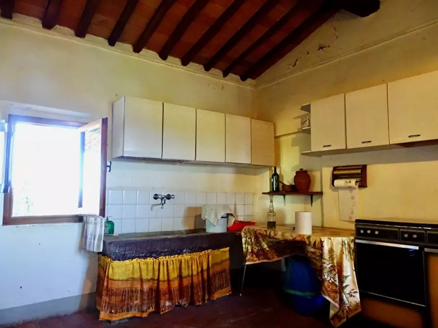 Immagine 50 di Casa colonica in vendita  a Palaia
