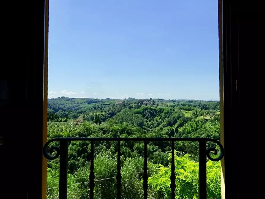 Immagine 37 di Casa colonica in vendita  a Palaia