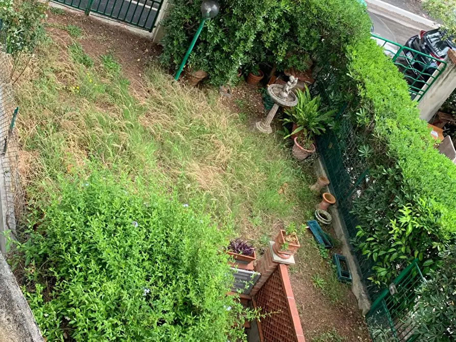 Immagine 14 di Appartamento in affitto  a Pisa