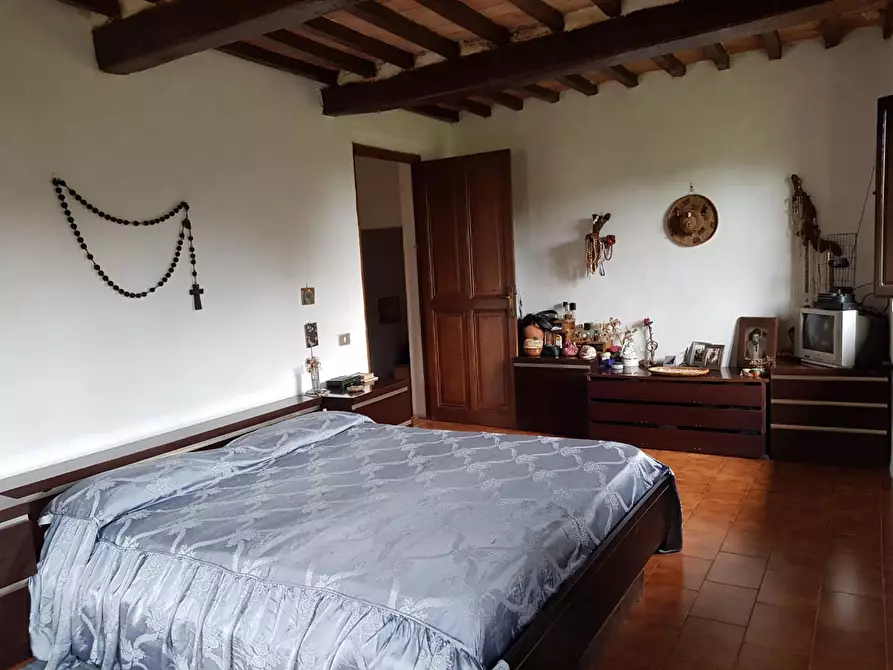 Immagine 21 di Casa indipendente in vendita  a Calci