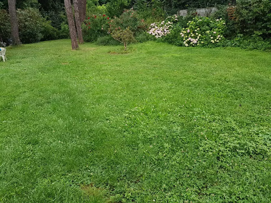 Immagine 28 di Casa indipendente in vendita  a Calci