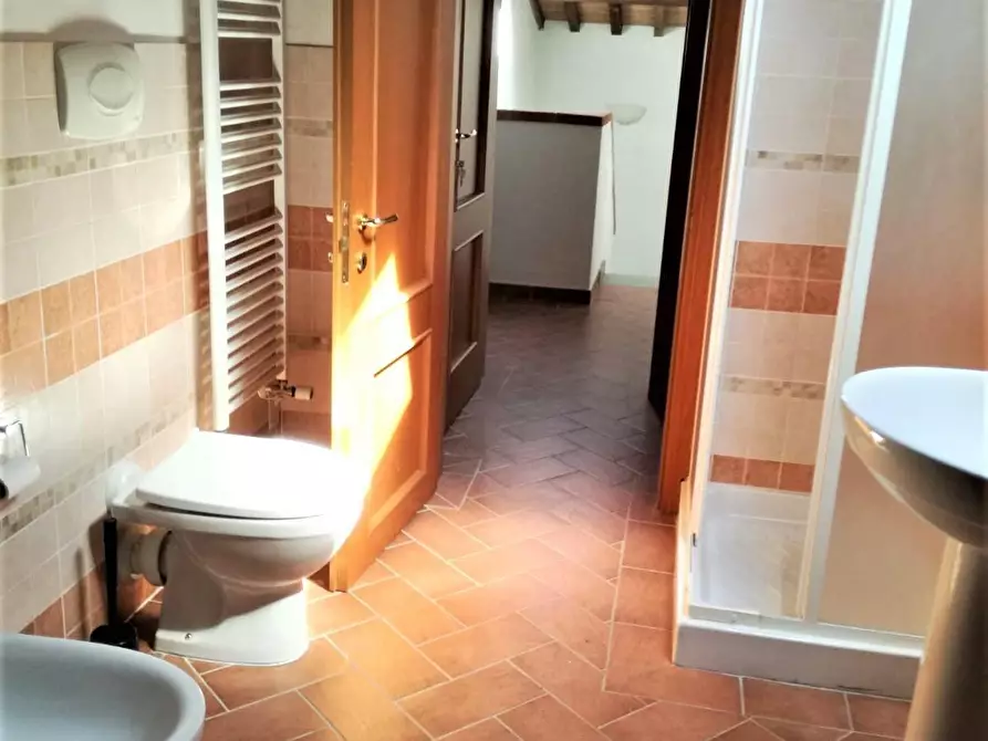 Immagine 9 di Appartamento in affitto  a Pisa