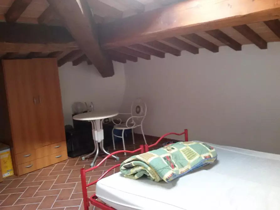 Immagine 5 di Appartamento in affitto  a Pisa