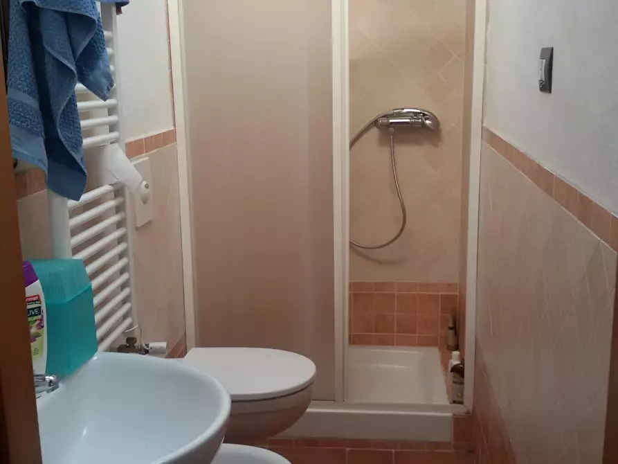 Immagine 11 di Appartamento in affitto  a Pisa