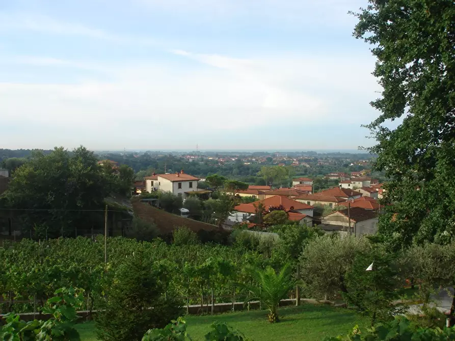 Immagine 18 di Villa in vendita  a Ortonovo