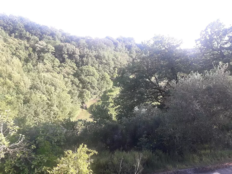 Immagine 26 di Rustico / casale in vendita  a Casciana Terme Lari