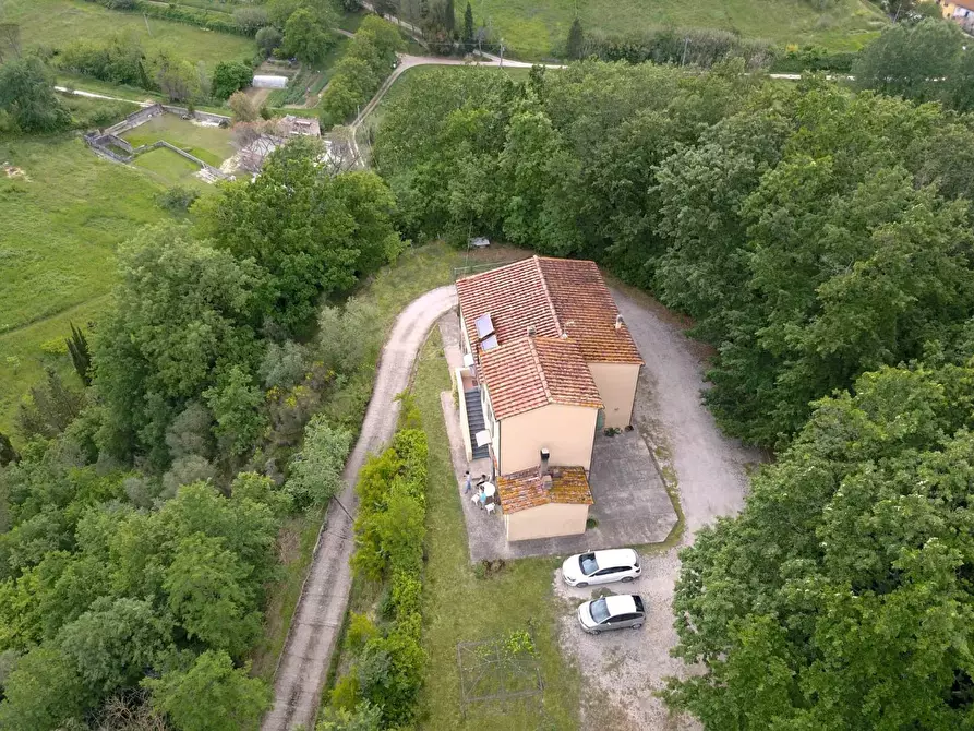 Immagine 2 di Rustico / casale in vendita  a Casciana Terme Lari