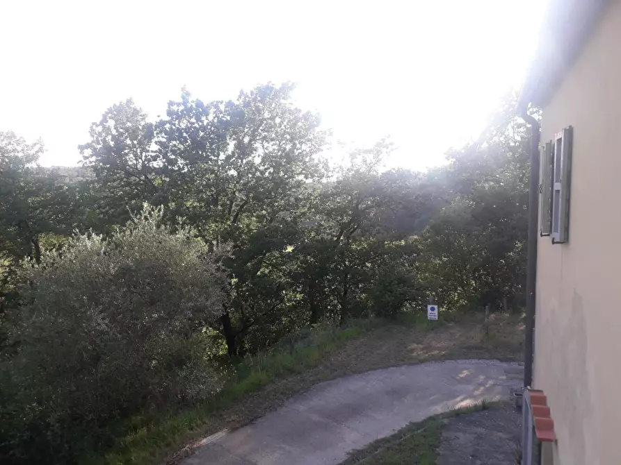 Immagine 27 di Rustico / casale in vendita  a Casciana Terme Lari