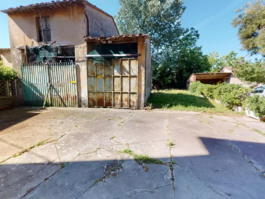 Immagine 2 di Terratetto in vendita  a San Giuliano Terme