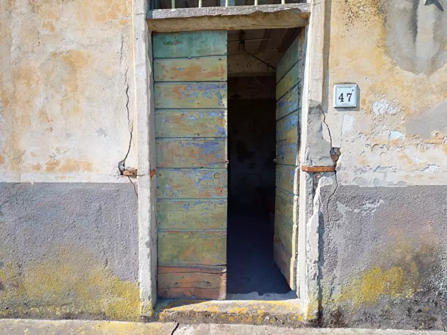 Immagine 12 di Terratetto in vendita  a San Giuliano Terme