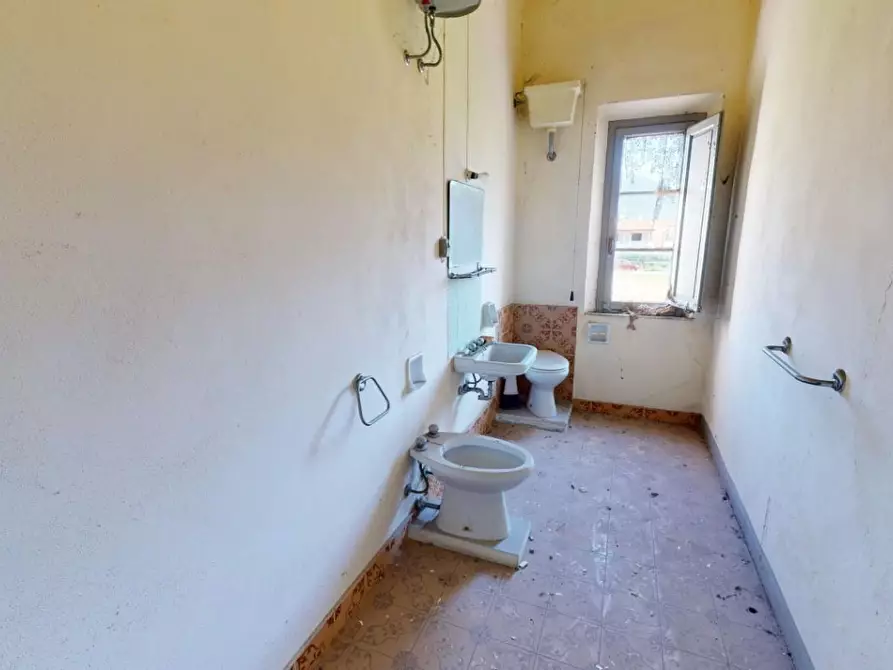 Immagine 9 di Terratetto in vendita  a San Giuliano Terme