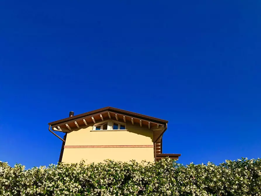 Immagine 33 di Villetta a schiera in vendita  a Massa